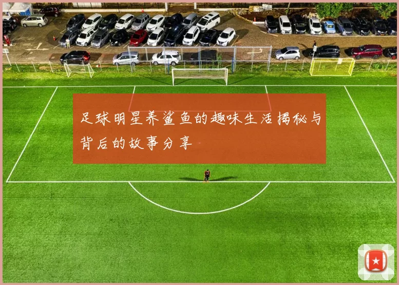 足球明星养鲨鱼的趣味生活揭秘与背后的故事分享