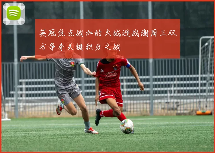 英冠焦点战加的夫城迎战谢周三双方争夺关键积分之战