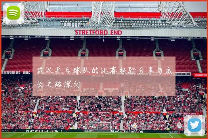 武汉乒乓球队的比赛经验分享与成长之路探讨