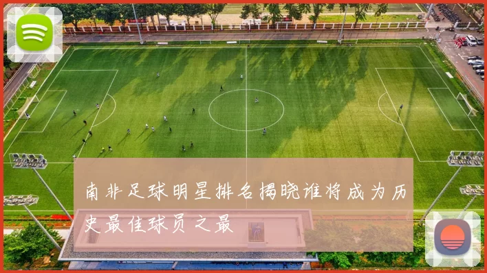 南非足球明星排名揭晓谁将成为历史最佳球员之最