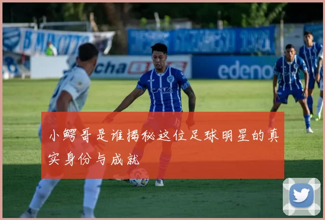 小鳄哥是谁揭秘这位足球明星的真实身份与成就