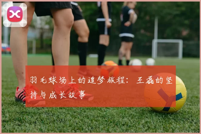 羽毛球场上的追梦旅程：王磊的坚持与成长故事