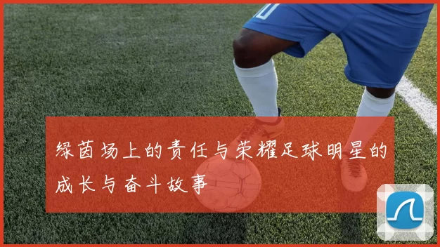 绿茵场上的责任与荣耀足球明星的成长与奋斗故事