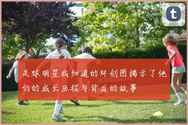足球明星我知道的环创图揭示了他们的成长历程与背后的故事