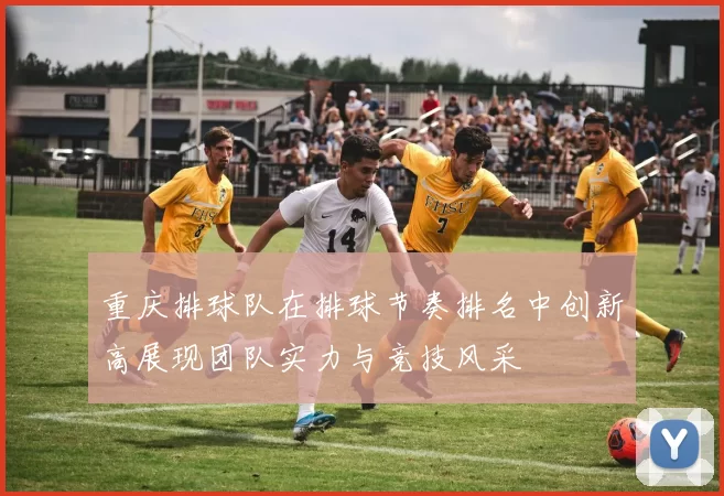 重庆排球队在排球节奏排名中创新高展现团队实力与竞技风采