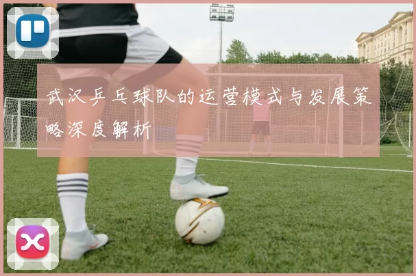 武汉乒乓球队的运营模式与发展策略深度解析