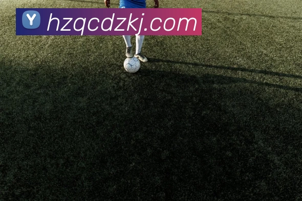 奖项证书